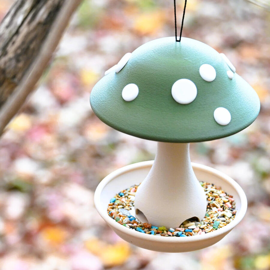 Fungi Feeder Fungi Feeder