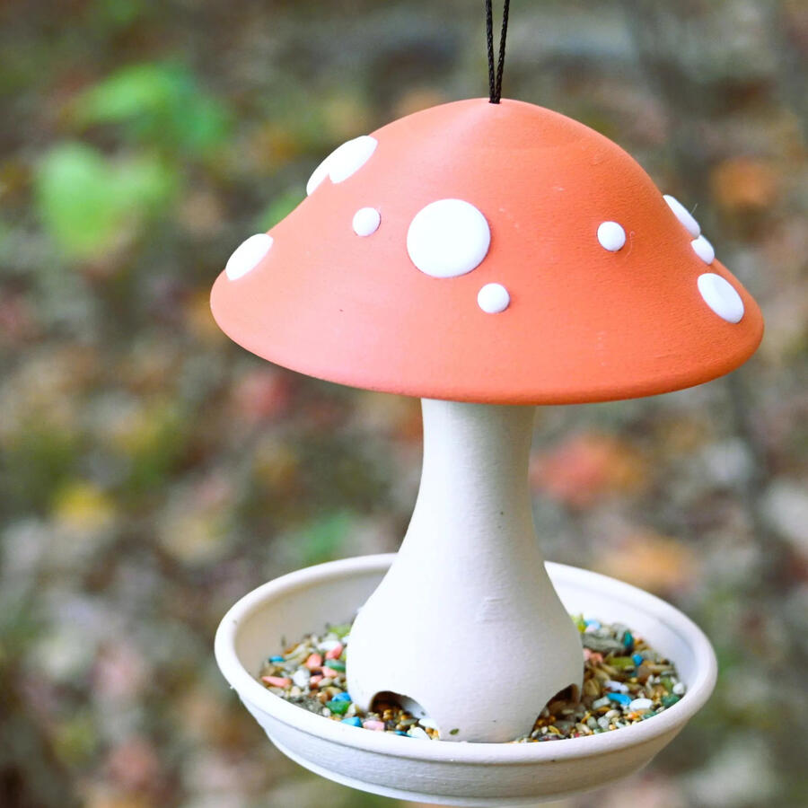 Fungi Feeder Fungi Feeder
